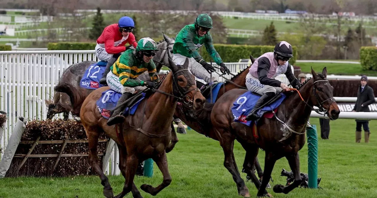 Cheltenham Festival 2024 Day 1 winners, results, reaction and more