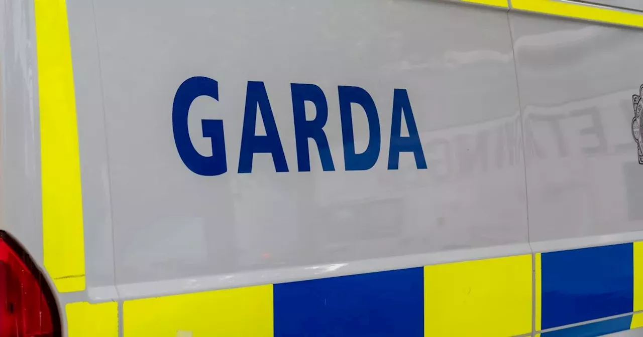 Garda probe launched after body of man found in ditch in Monaghan