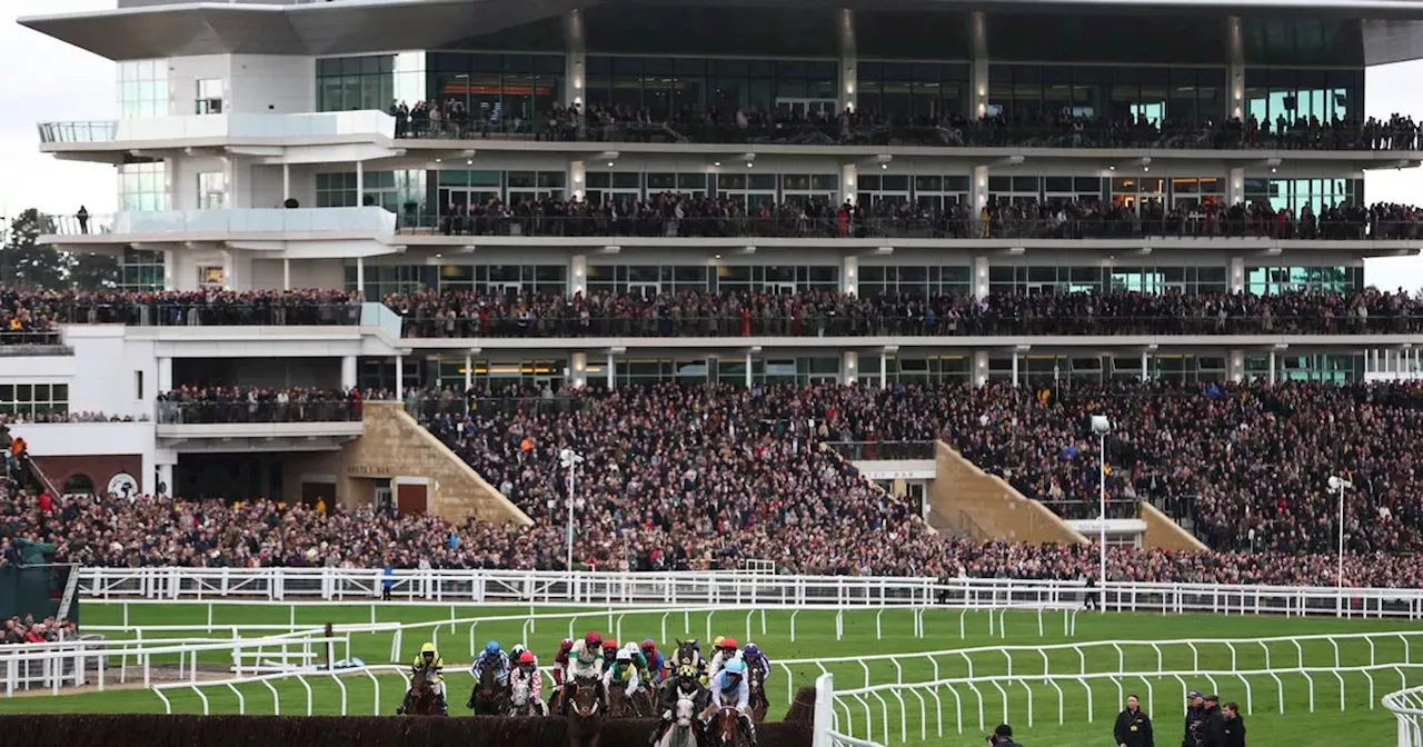 Two horses die on day 1 of the Cheltenham Festival