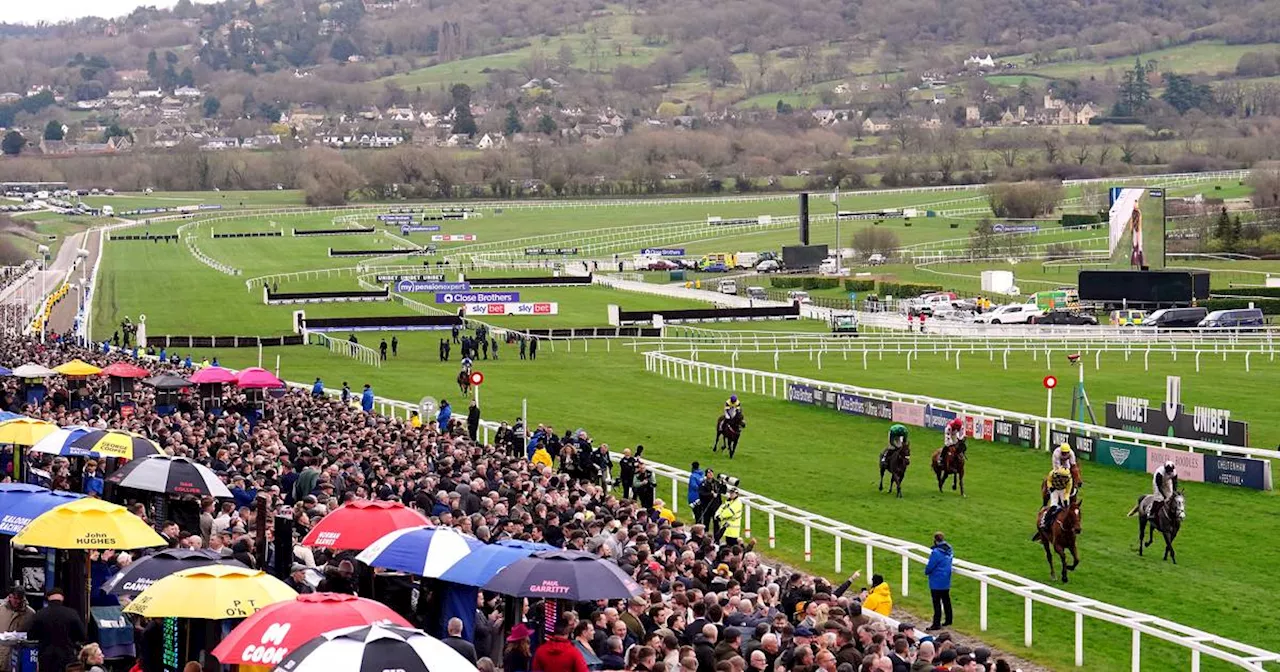 Cheltenham 2024 day two live updates: Willie Mullins looks set to dominate once again