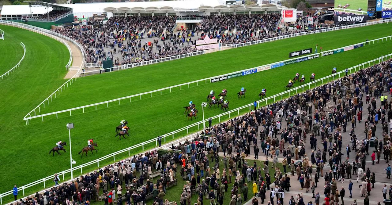 Cheltenham day two crowd continues alarming drop in festival attendances