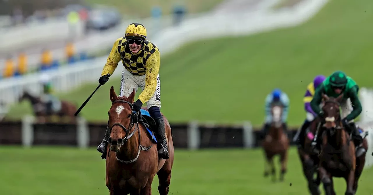 Cheltenham Festival 2024 day one as it happened: State Man claims Champion Hurdle