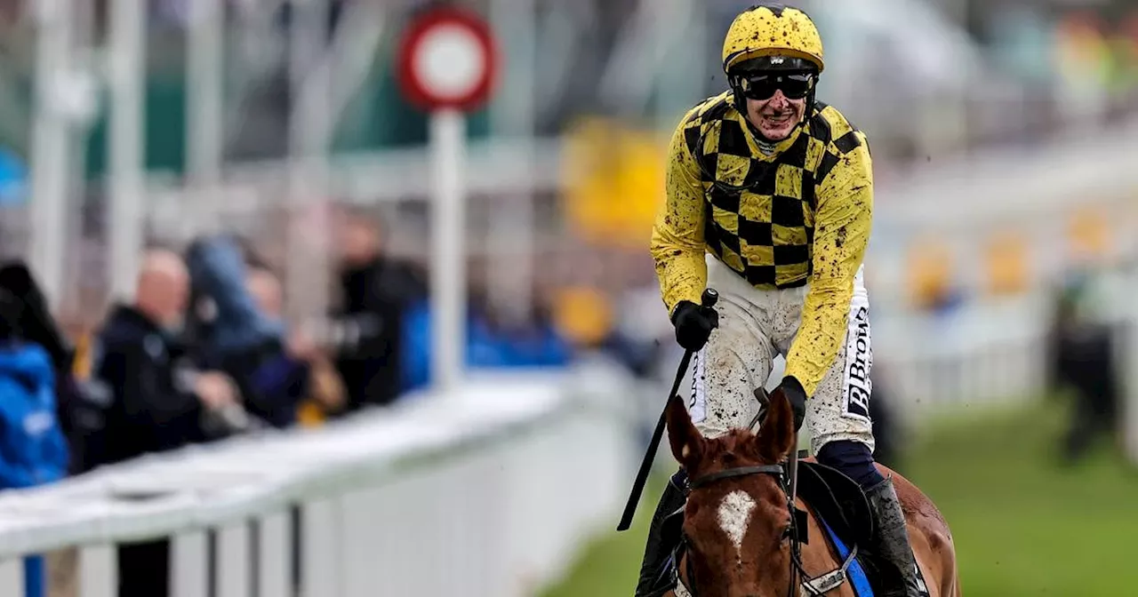 State Man leads the way as Willie Mullins dominates opening day of Cheltenham