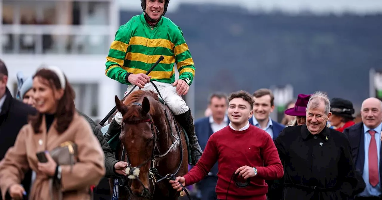 The Cheltenham festival has changed, wins for the romantic underdog are rarer now