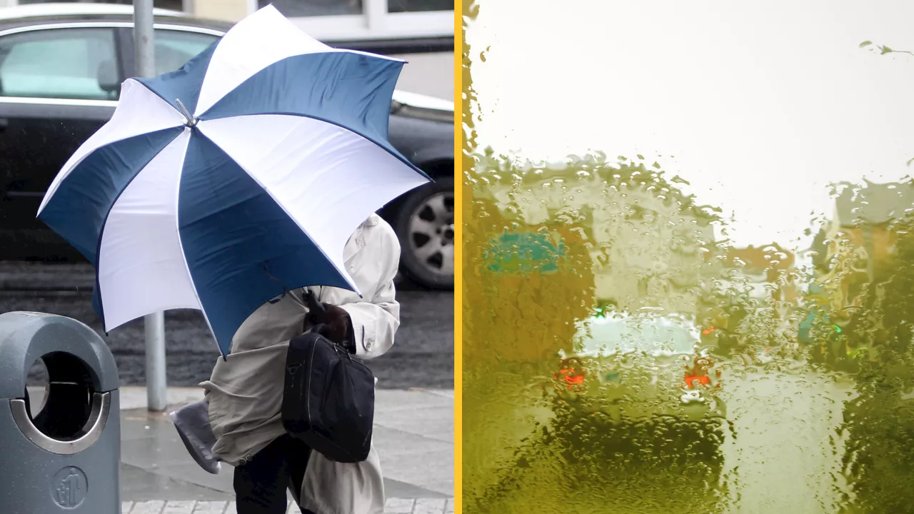 Status Orange warning issued over 'persistent rain' and 'expected' flooding