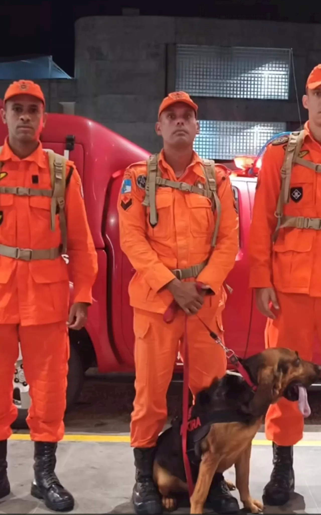 Vídeo: Bombeiros do Rio enviam cadela para ajudar nas buscas por fugitivos da penitenciária de Mossoró