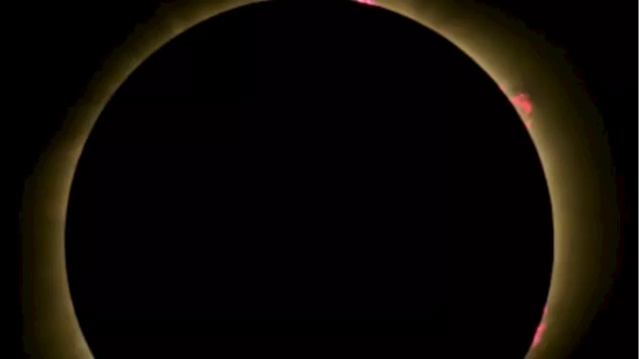 Insider captures incredible photos past eclipses, hopes to do so again in April