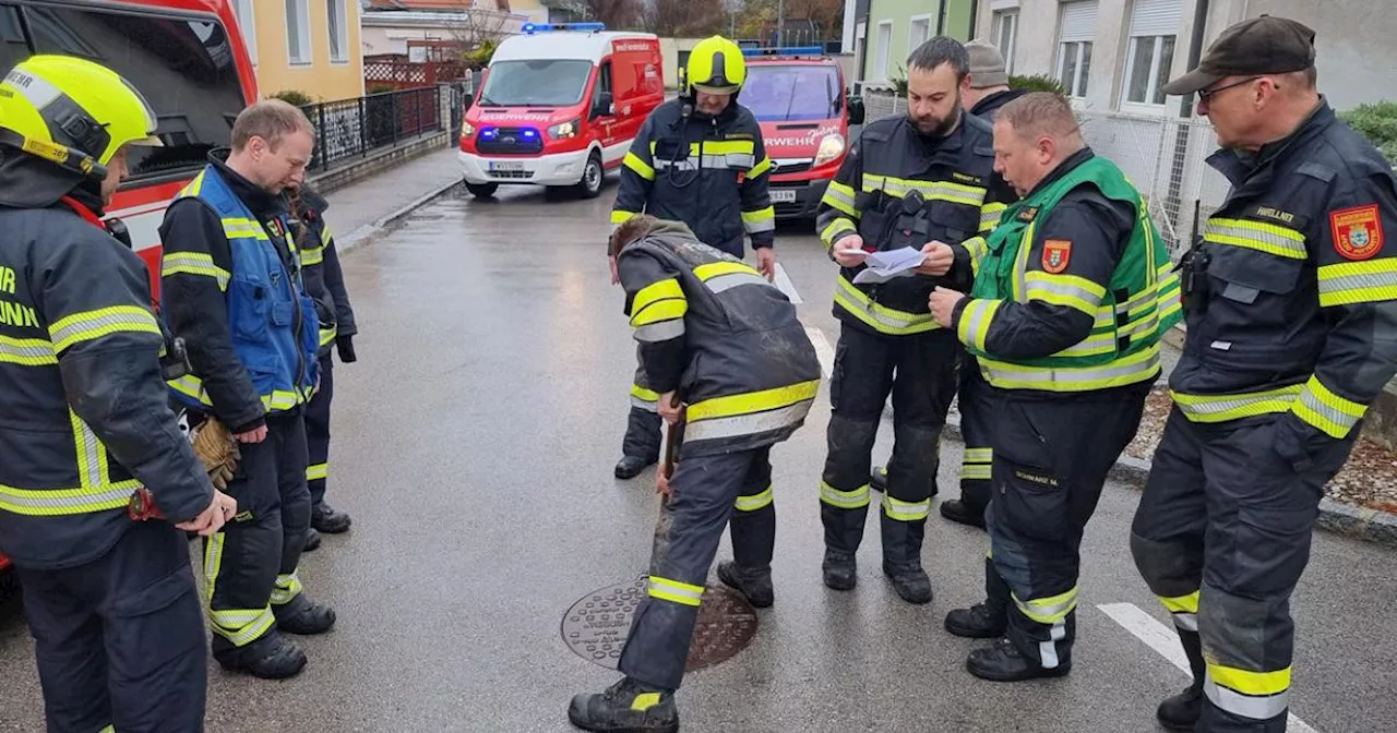 Umweltalarm im Triestingtal: Öl im Veitsauerbach