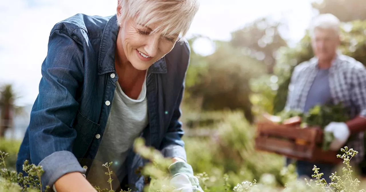 Winterschlaf adé: So bereiten Sie Ihren Körper auf den Frühling vor