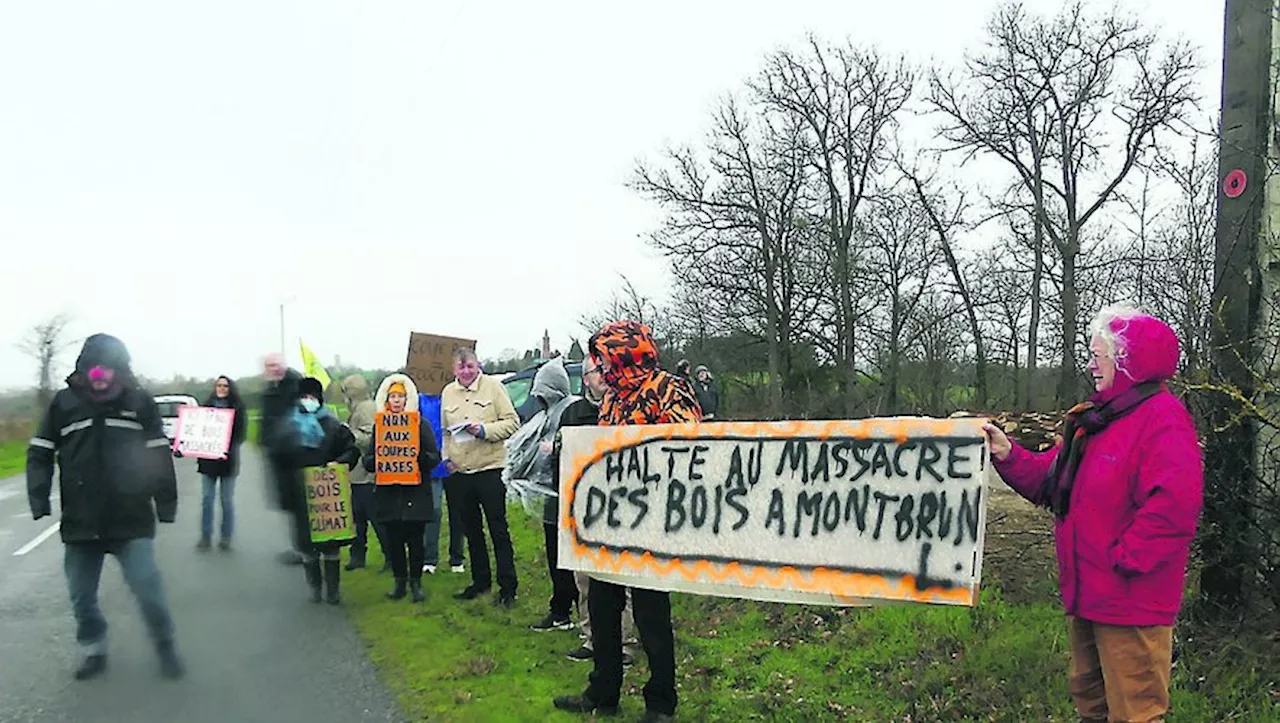 'Nous continuerons à nous opposer à cette exploitation' : près de Toulouse, des riverains mobilisés pour sauve