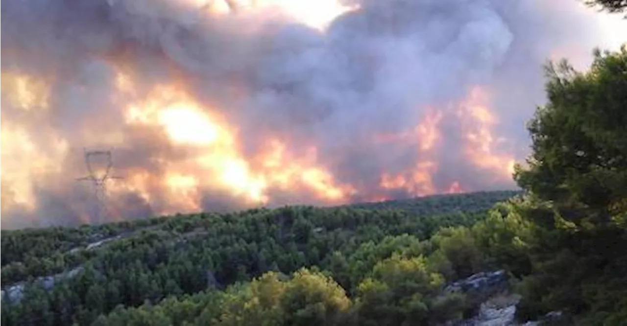 Concertation publique pour un Plan de prévention des risques d'incendies de forêt