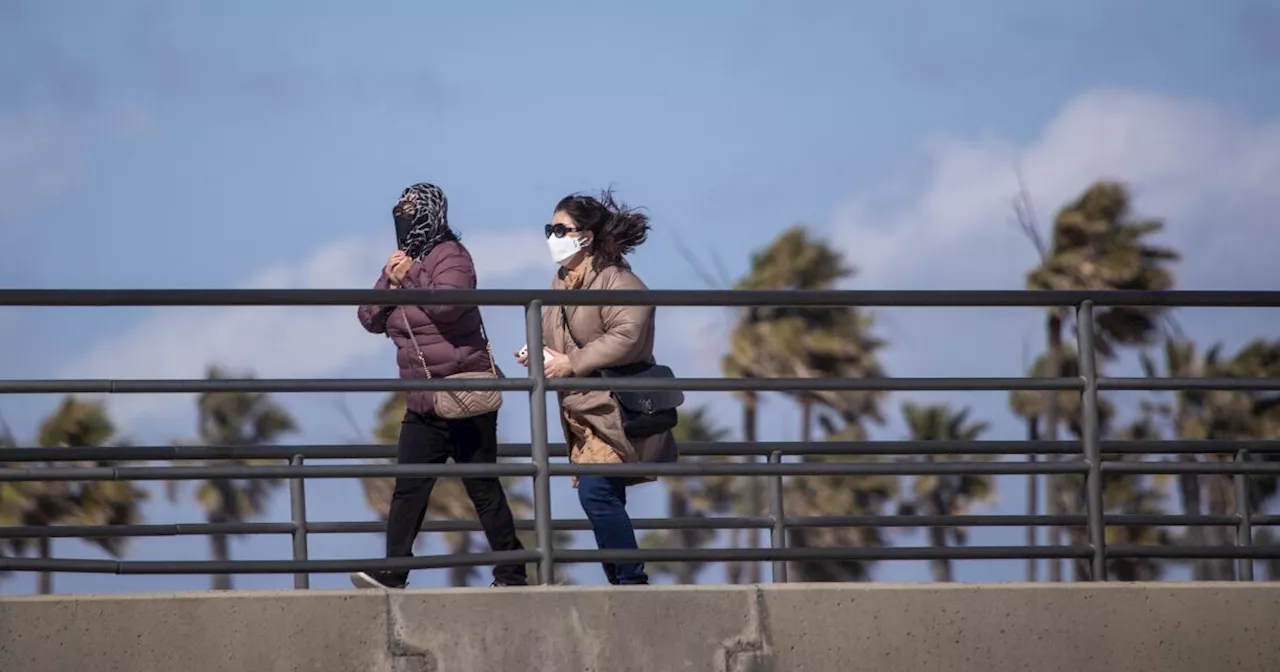 Santa Ana winds will whip across California, with power outages and downed trees likely