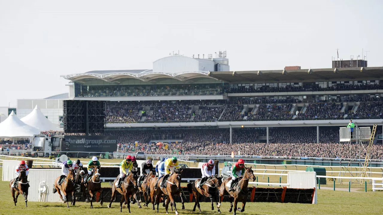 Your guide to the Cheltenham Festival: Full schedule of the 'greatest show on turf'