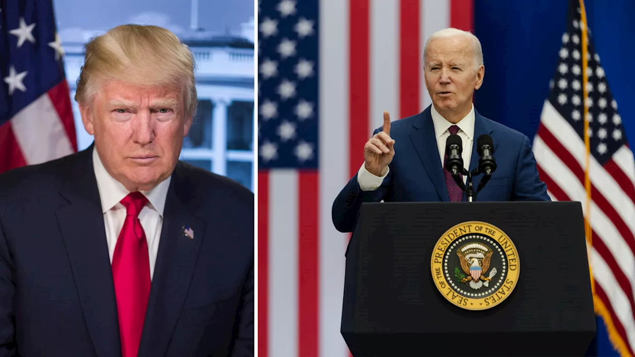 Joe Biden becomes Democrat Party's presidential nominee setting up likely Trump rematch