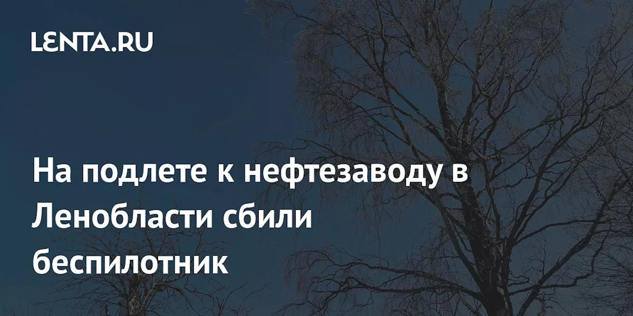 На подлете к нефтезаводу в Ленобласти сбили беспилотник