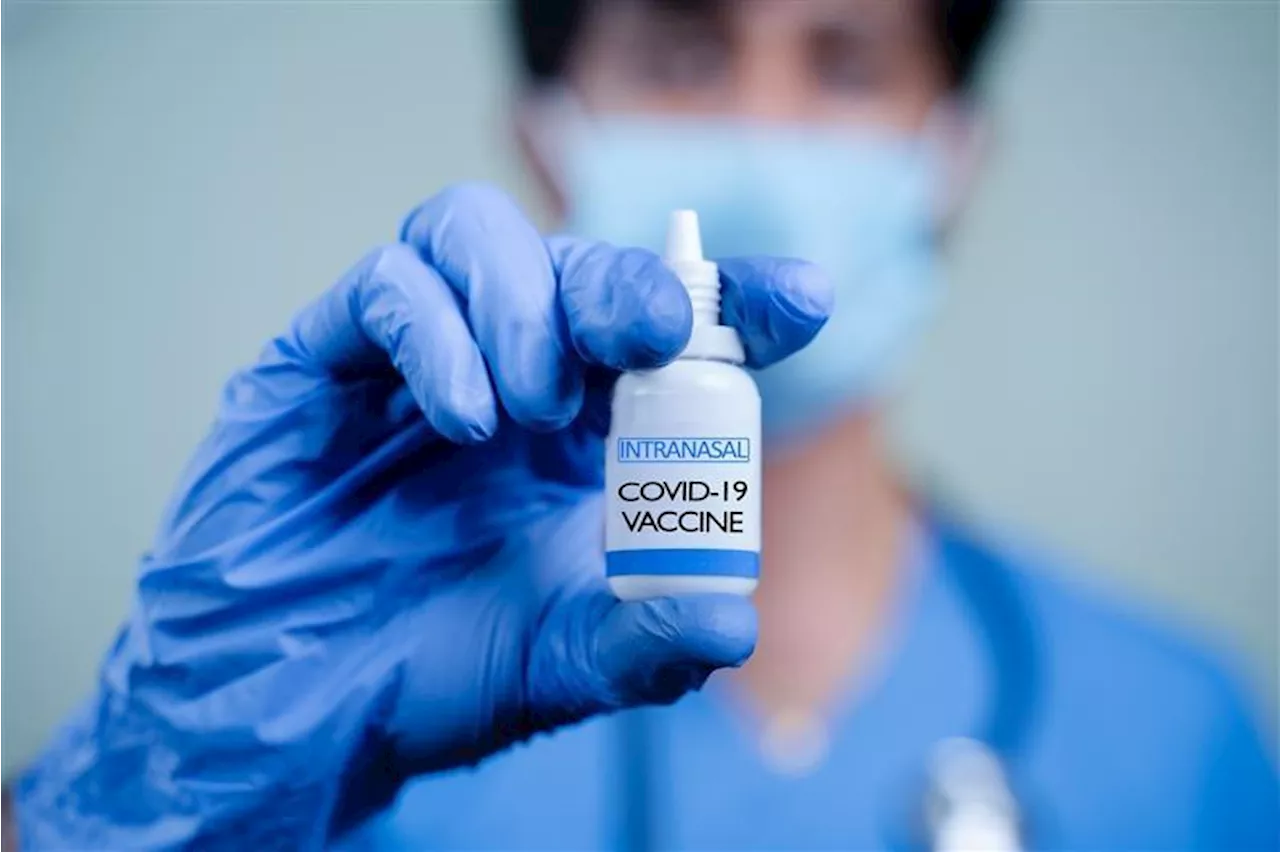 Un vaccin nasal, piste prometteuse pour lutter contre le Covid-19