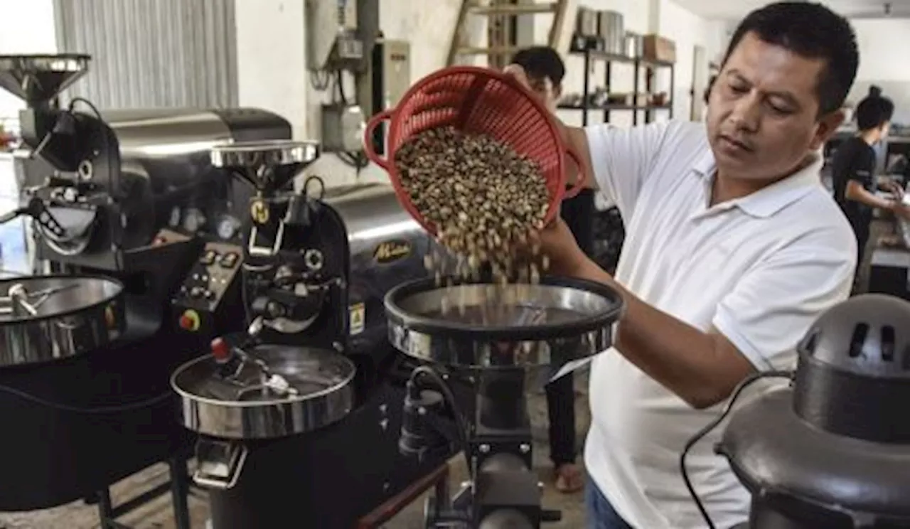 Dorong Industri Minuman Ringan Kemenperin Ingin Restrukturisasi Mesin