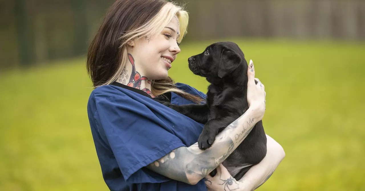 Guide Dogs searching for volunteers with tattoos, beards and colourful hair