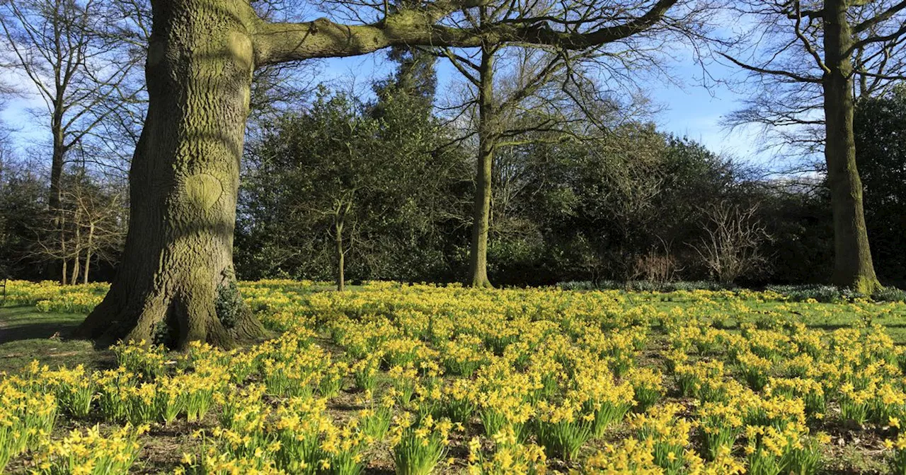 The Greater Manchester garden you need to visit this spring