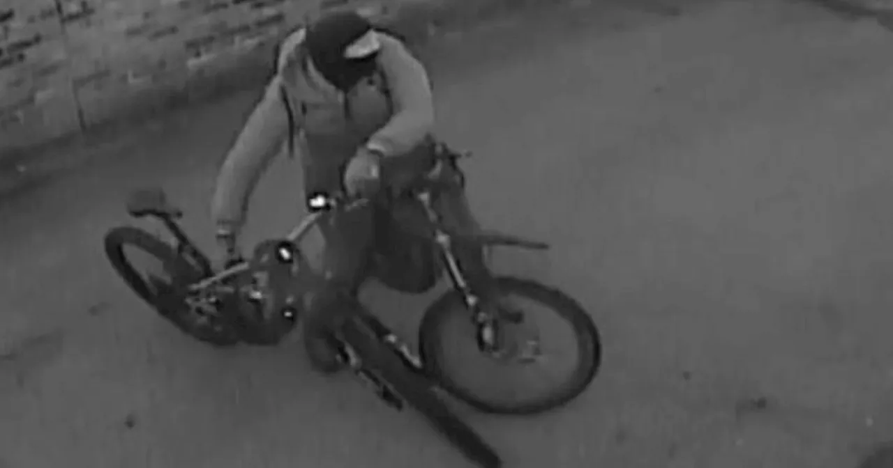 Thugs threaten boy with 'zombie knife' before stealing his £4,000 bike