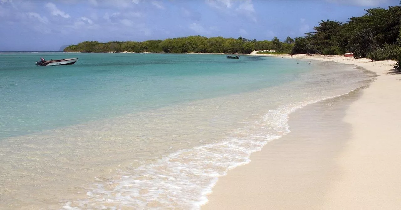 British couple found dead on Caribbean beach