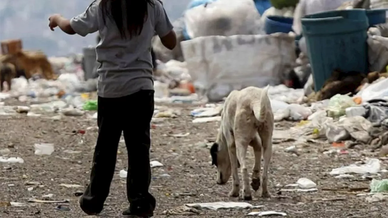 UNICEF advirtió que 7 de cada 10 niños argentinos serán pobres en 2024