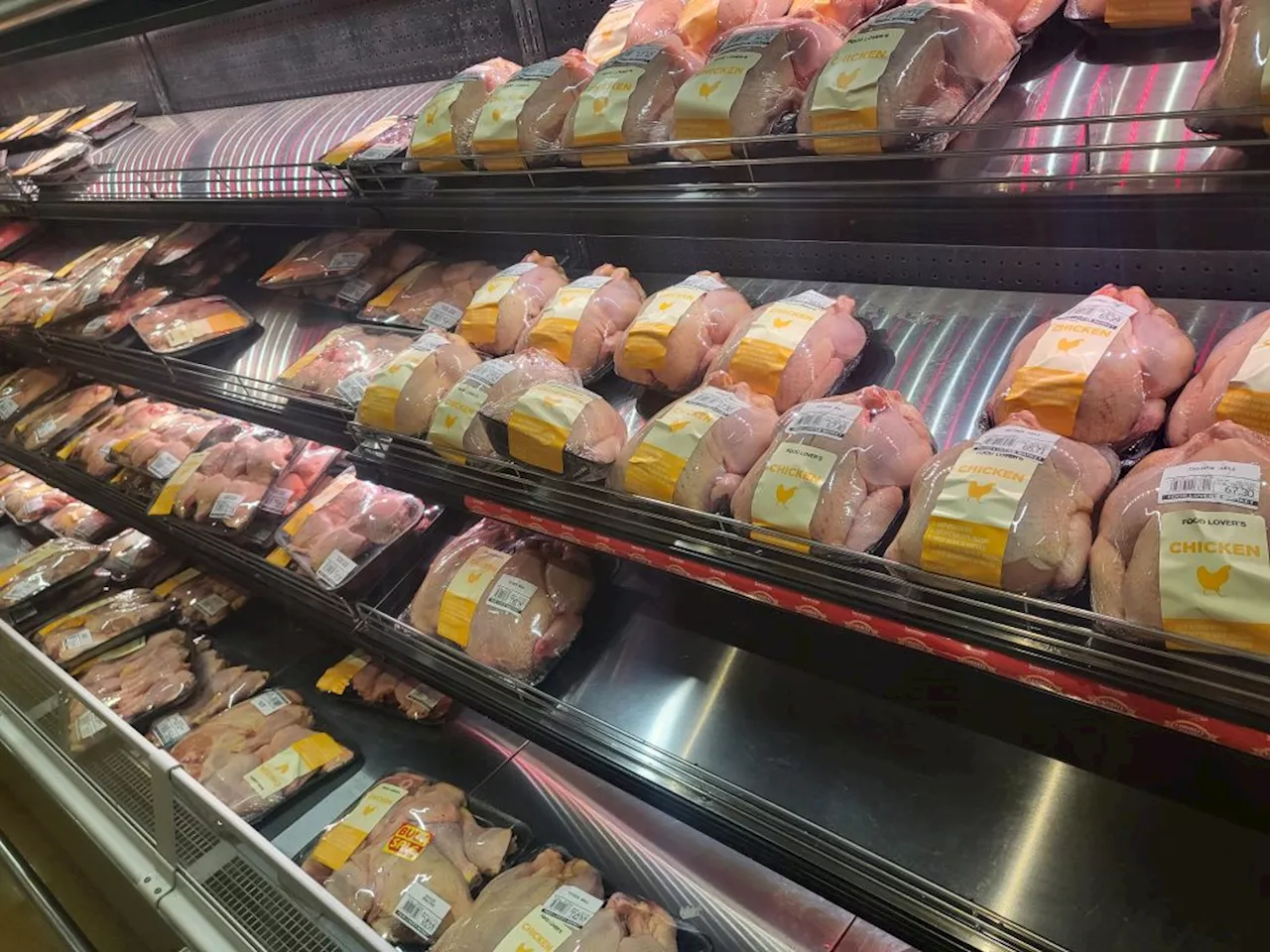 Controversy over Rebates for Poultry Imports in South Africa