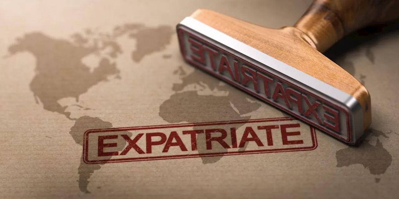 Homeward bound: Why are almost 30% of SA expats returning?