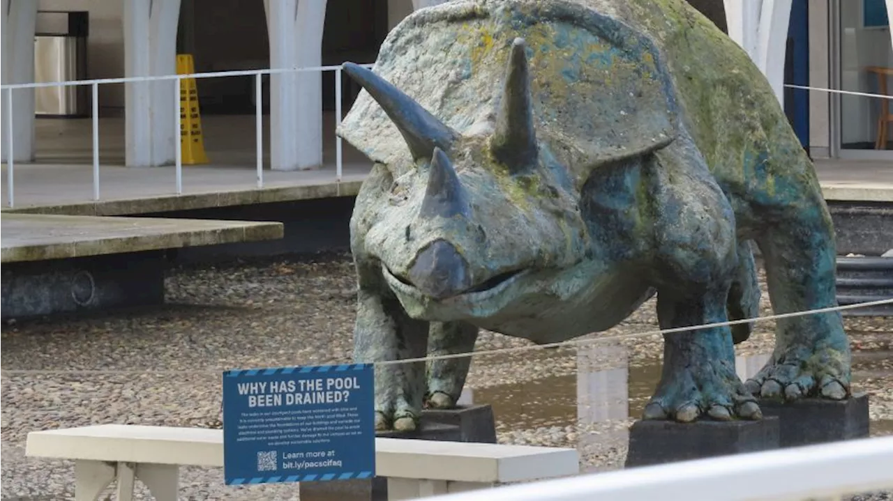 Pacific Science Center making temporary changes to historic reflecting pool