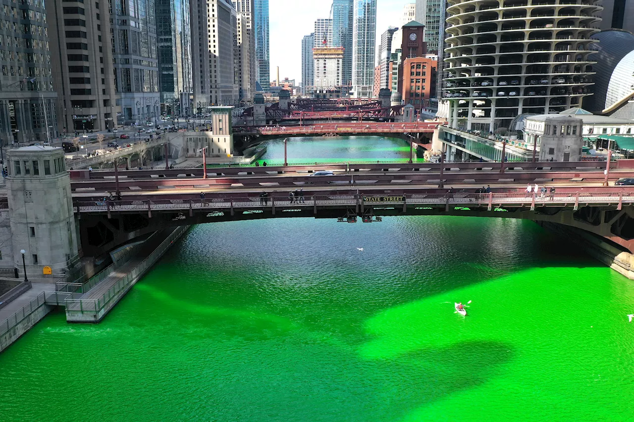 Watch live as the Chicago River is dyed green this weekend