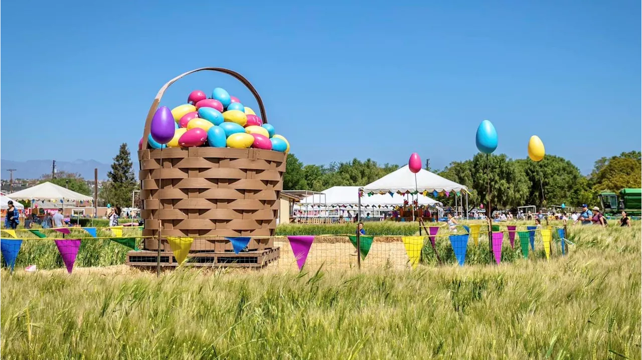 The Giant Easter Egg Basket is rolling back to Underwood Family Farms