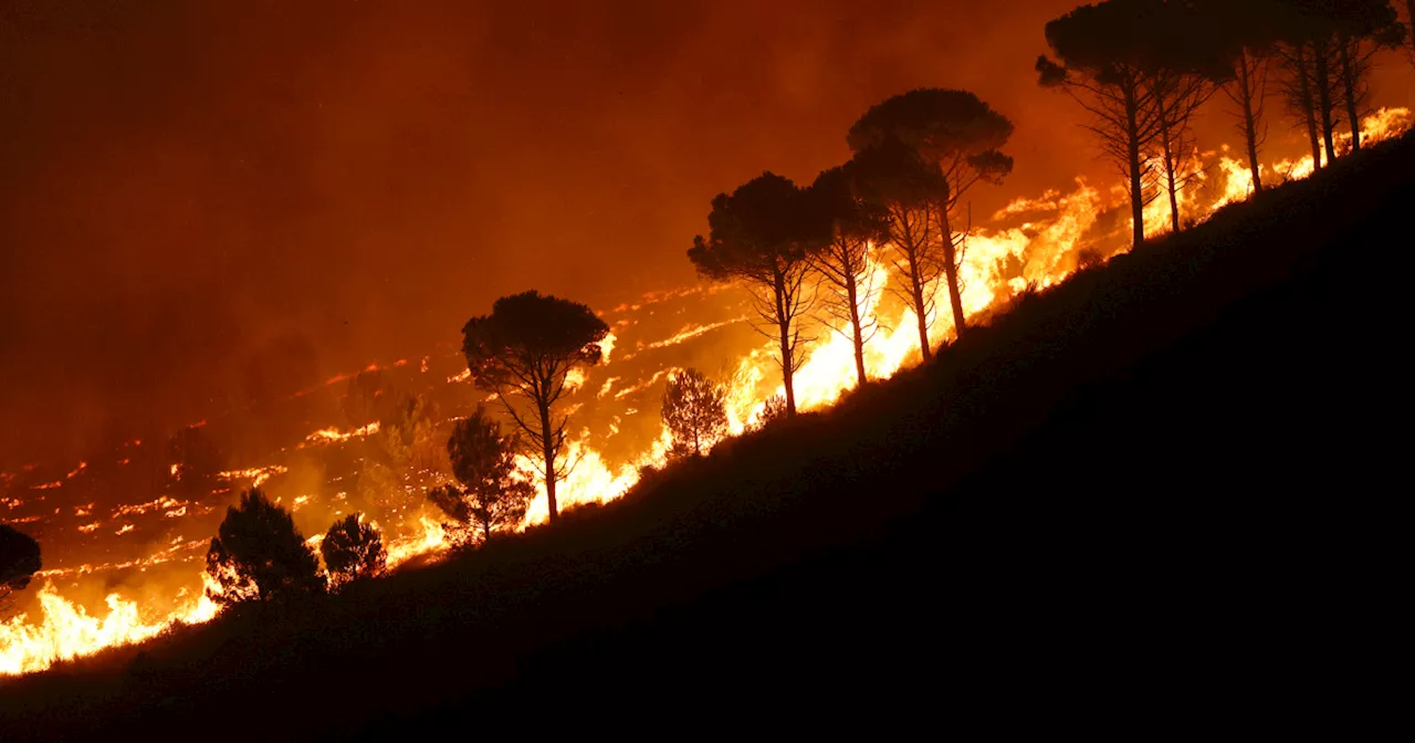 Wildfires are becoming night owls — and that’s a big problem