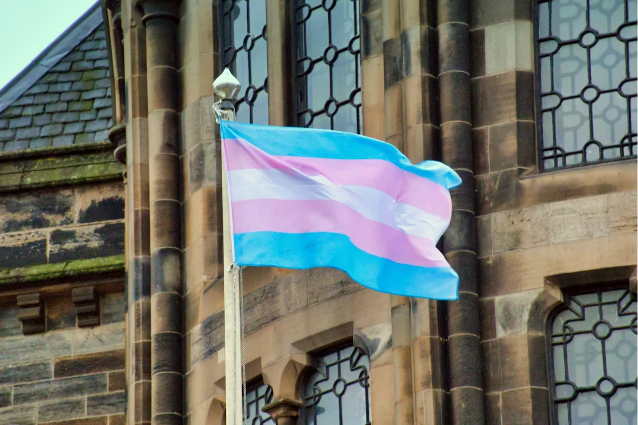 Trans healthcare: Irish trial will study 'who is suitable' for puberty blockers