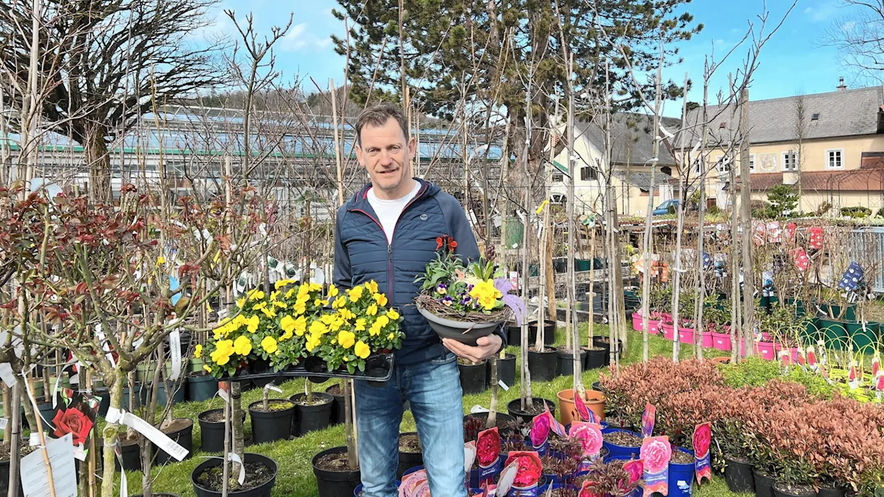 Wie man den Garten fit für den Frühling macht