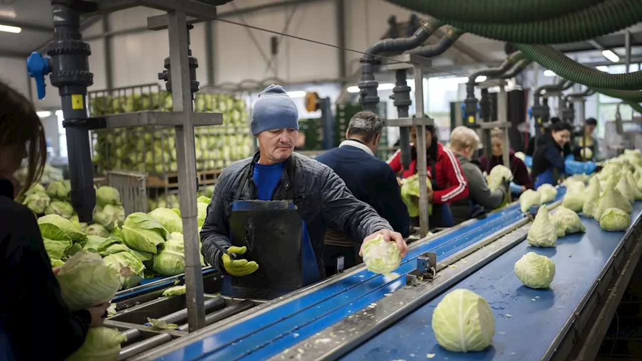 Arbeidsmigranten in Nederland kunnen makkelijk worden uitgebuit