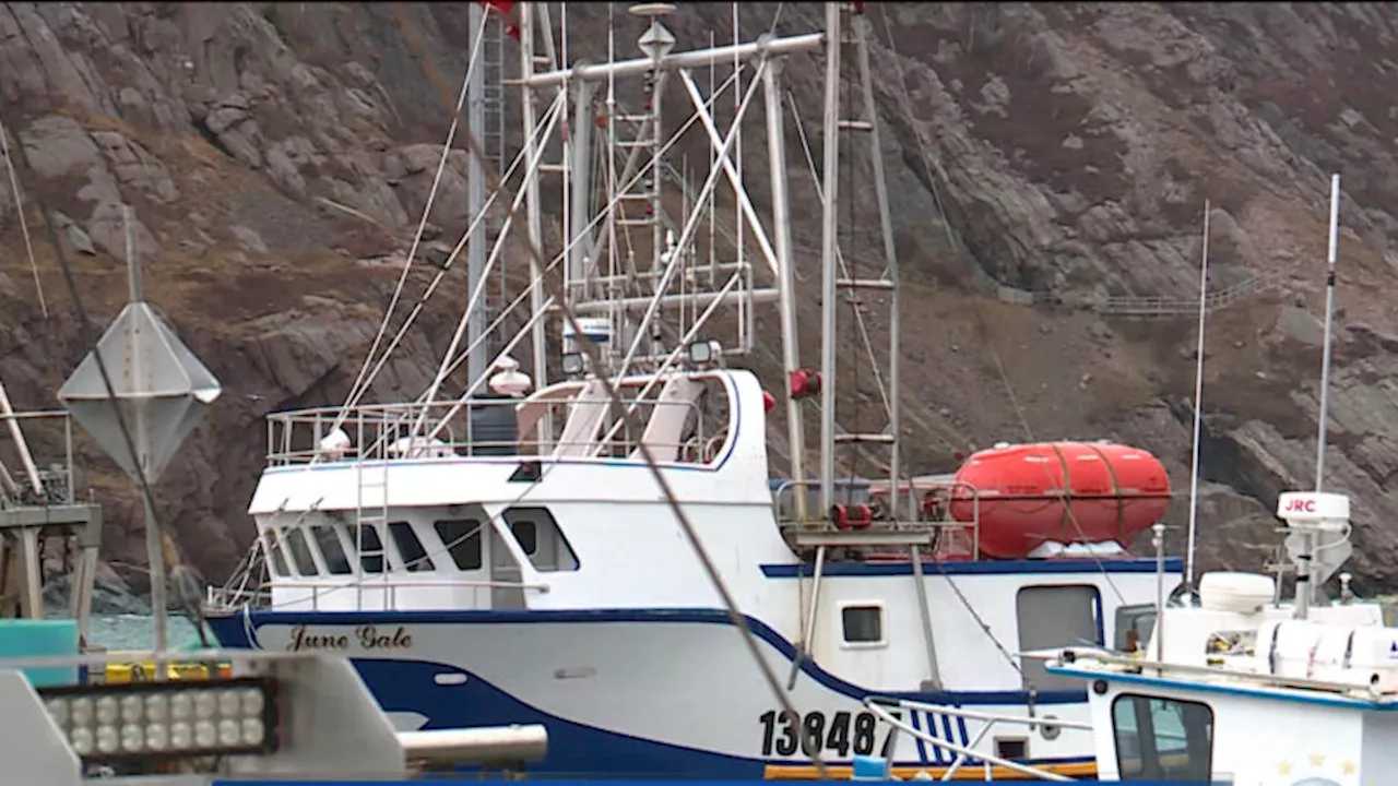 DFO’s Update on Capelin Brings Stock Out of Critical Zone