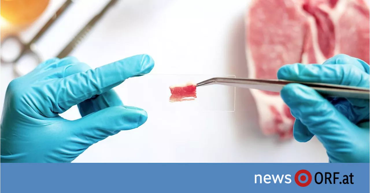 Onlineumfrage zu Laborfleisch spaltet Landwirtschaftssektor