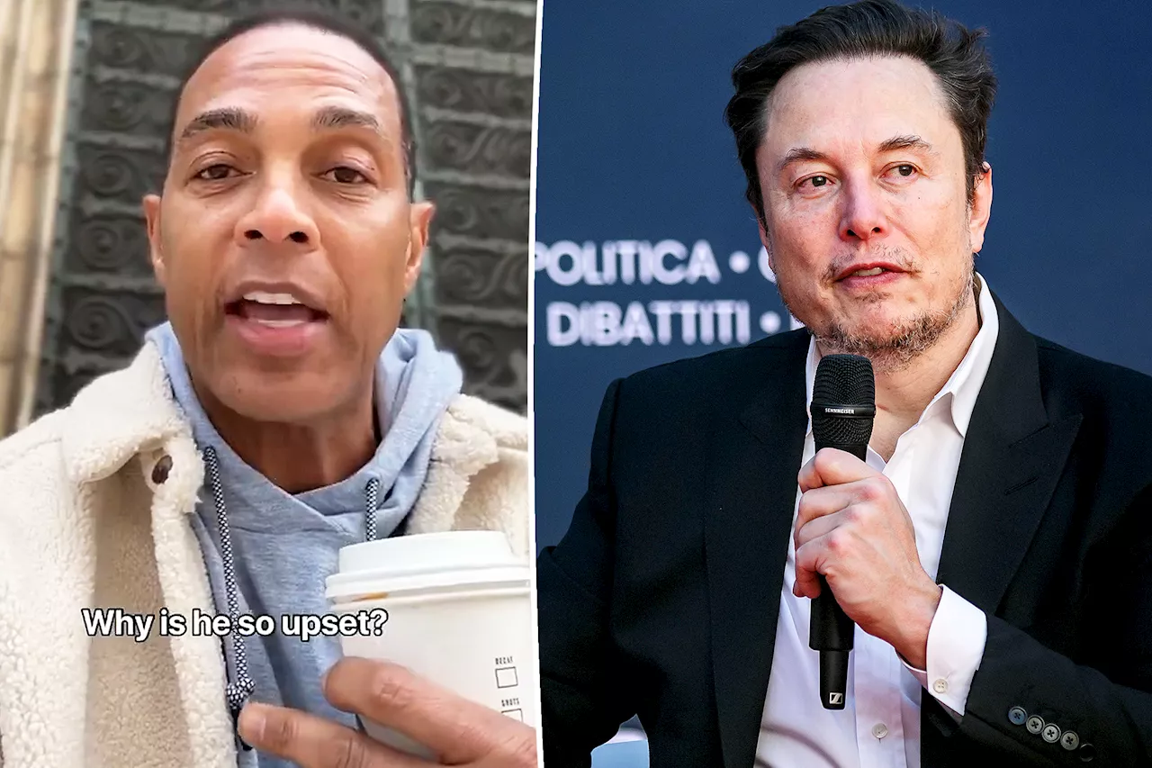 'Mad' Elon Musk cancels Don Lemon's show on X hours after interview with tech mogul goes downhill