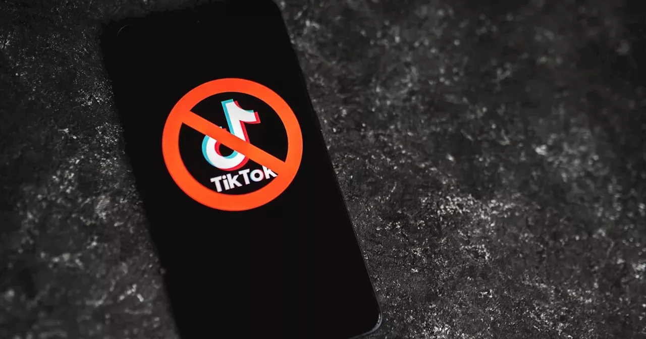 House Passes Bill That Would Ban TikTok Unless It Sells In 165 Days ...