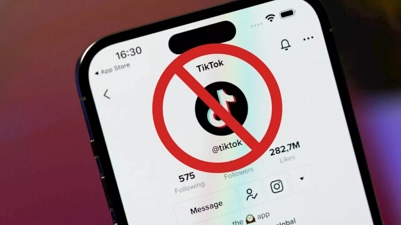 US House of Representatives to Vote on TikTok Bill