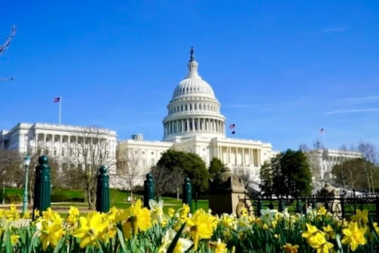 D.C.-area forecast: Staying in the 70s with less wind; showers possible Friday