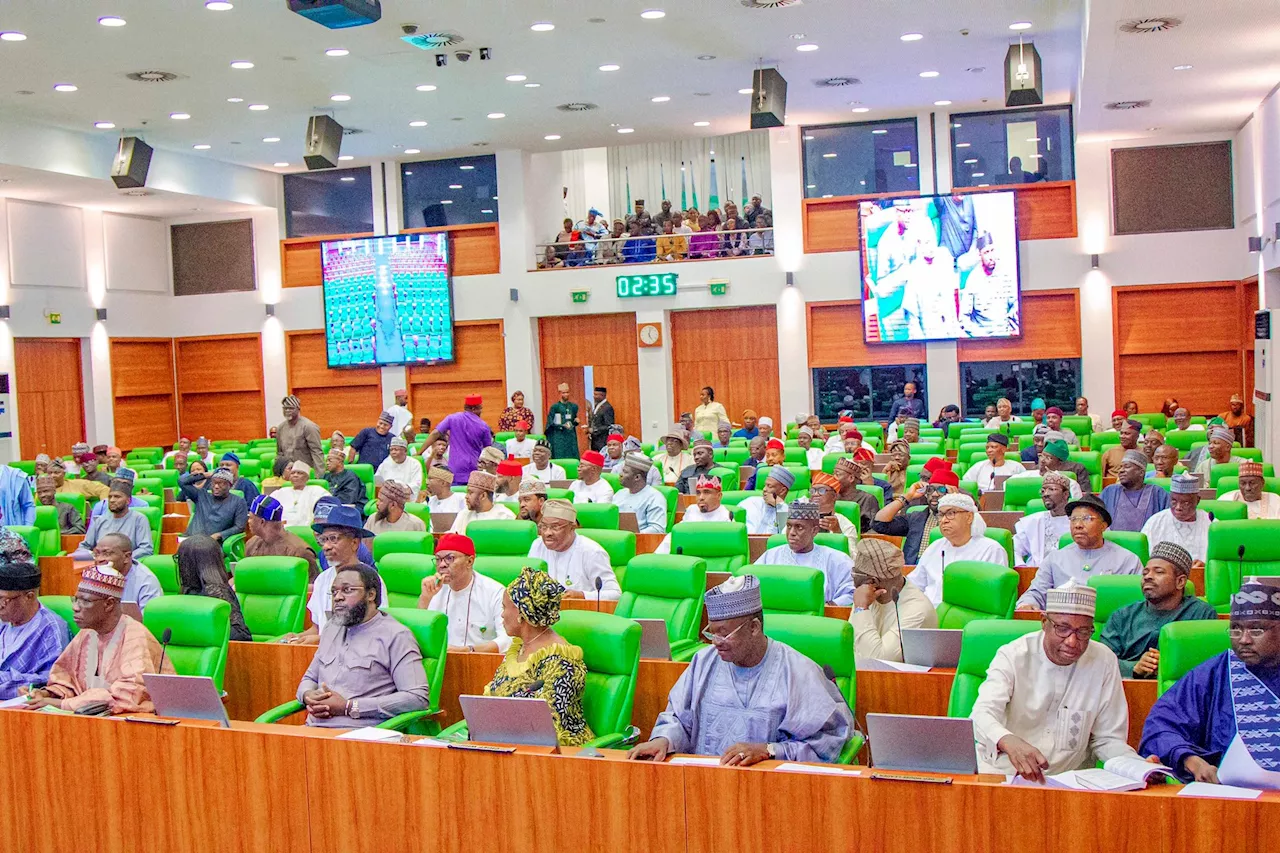 Bill seeking establishment of mining bank scales second reading at House of Reps