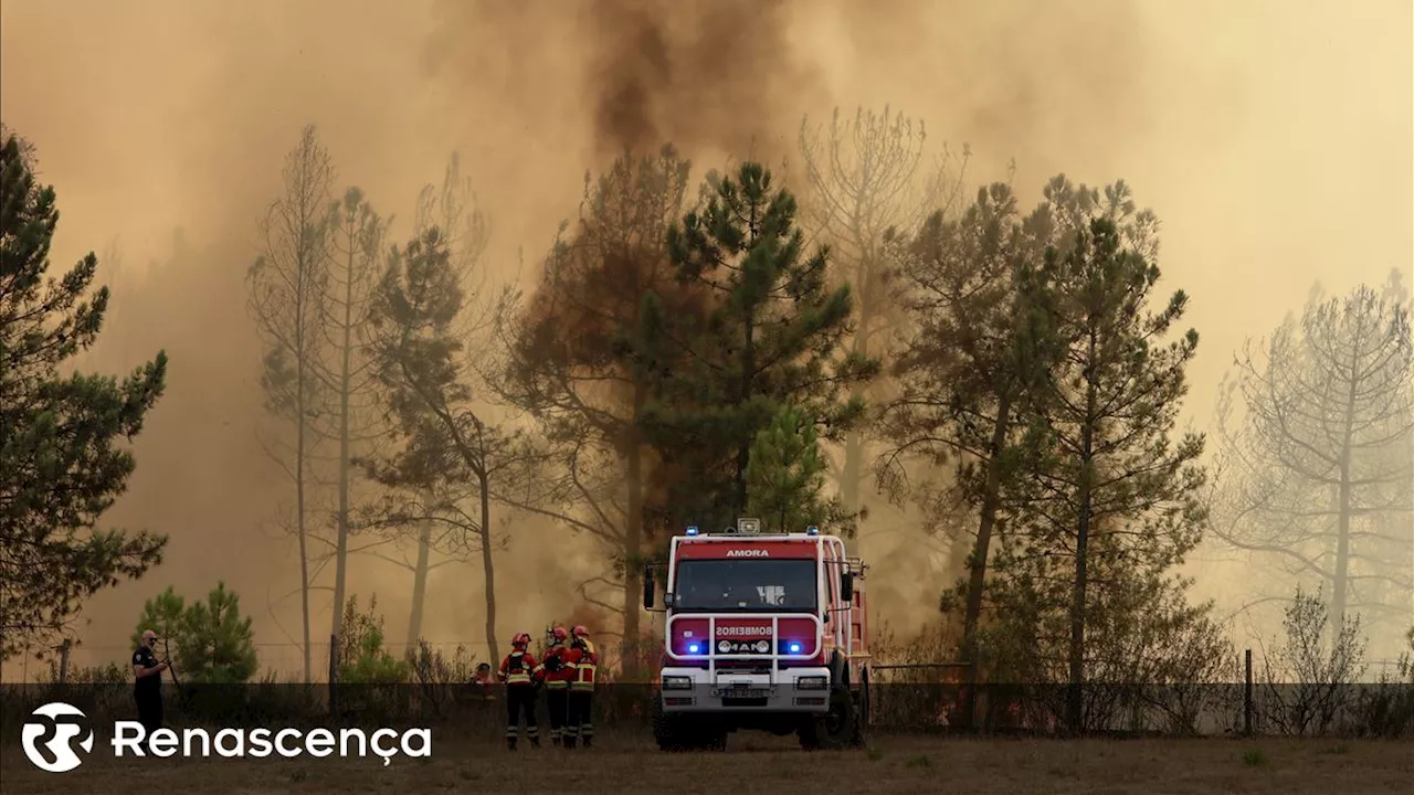 Número de incêndios reduzido em mais de metade em seis anos