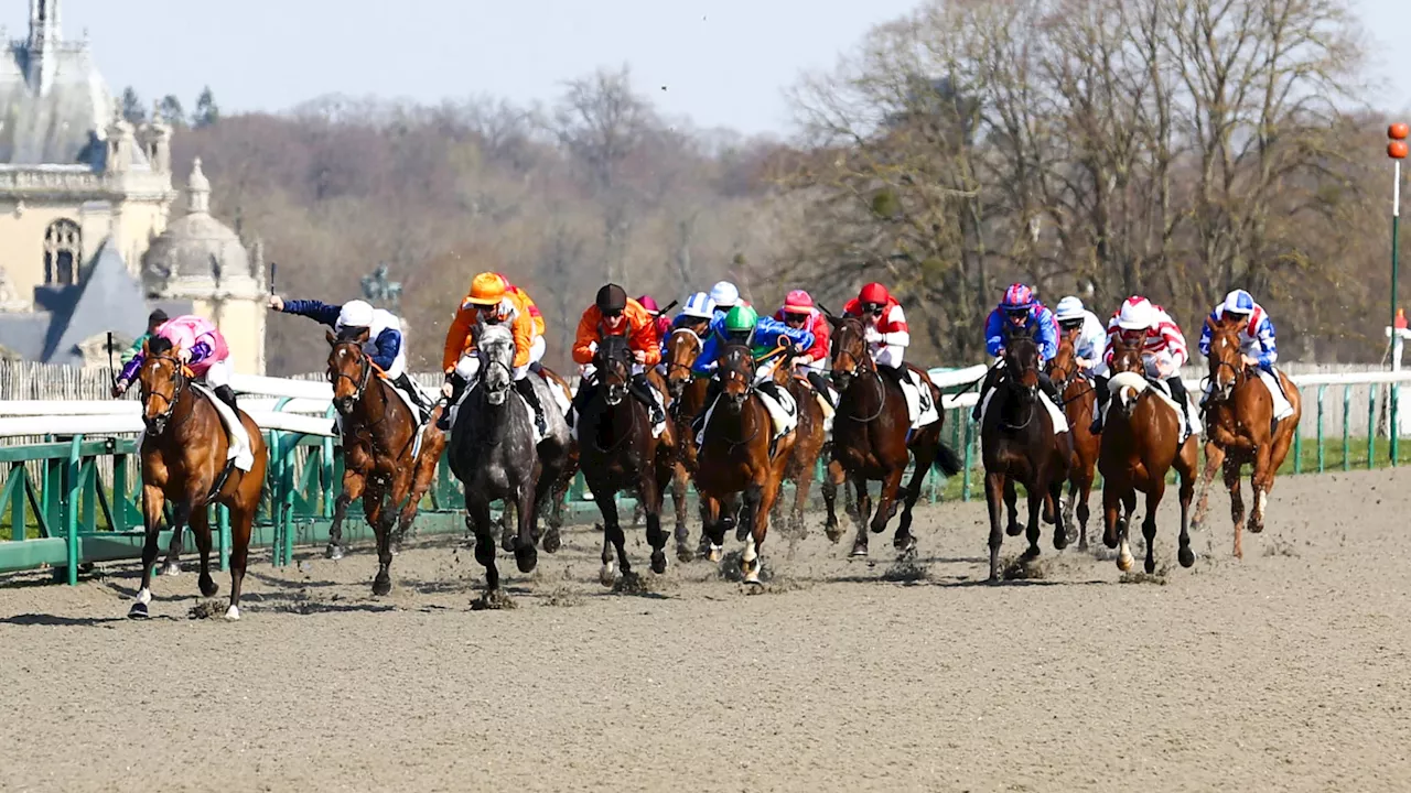 Les pronos hippiques du jeudi 14 mars 2024