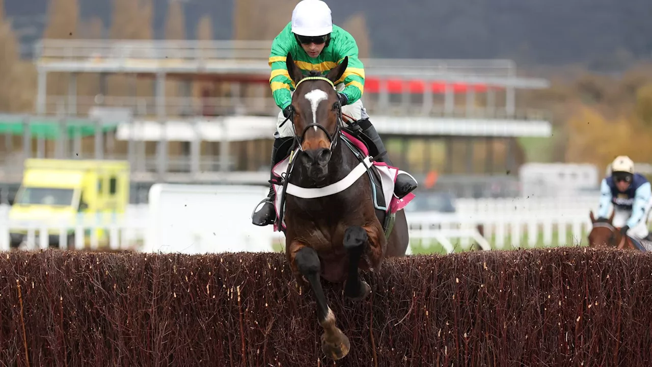 Cheltenham Festival: Jonbon among Nicky Henderson stars ruled out of Champion Chase Day