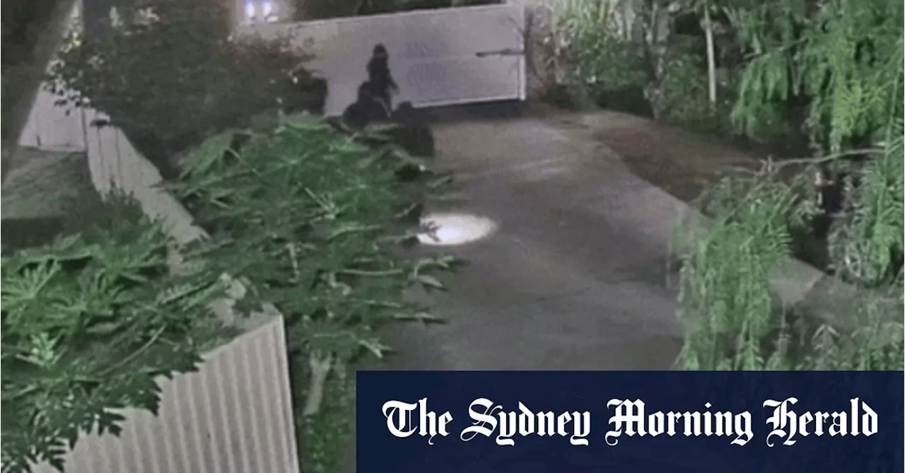 ‘I’m going to shoot you’: Dramatic CCTV captures terrifying Sydney home invasion