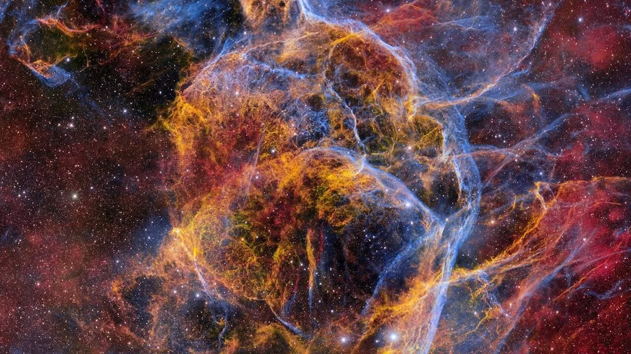 Dark Energy Camera Captures Largest Image of Vela Supernova Remnant