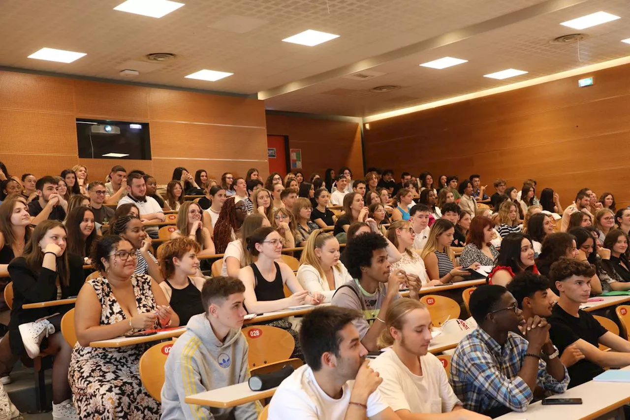 Études en Dordogne : découvrez les cursus les plus pertinents de Périgueux et du Périgord