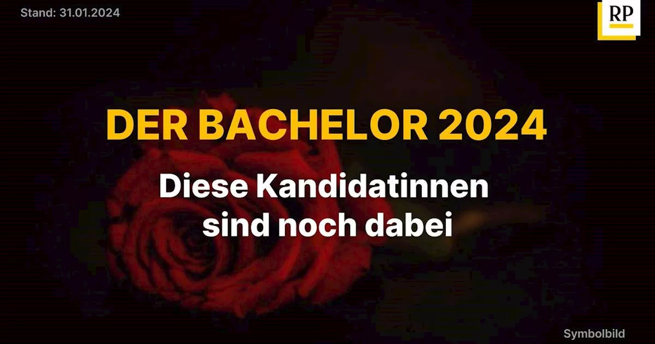 Video: Der Bachelor 2024: Alle Infos zu den Bachelor, Kandidatinnen und mehr