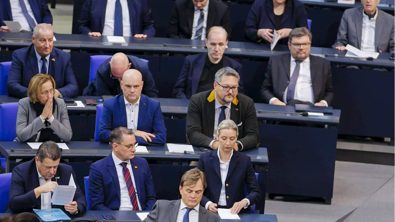 Auch Weidel und Chrupalla belastet: AfD soll mehr als 100 Rechtsextremisten im Bundestag beschäftigen